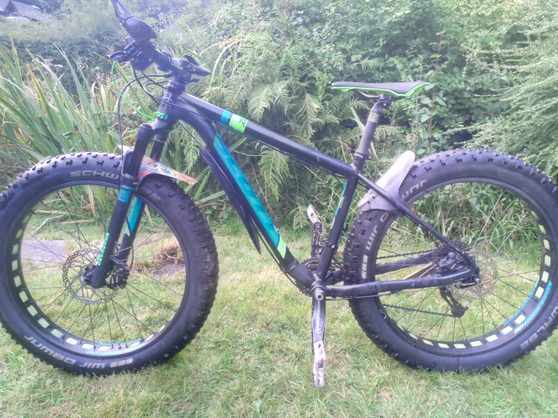 fat bike gumtree